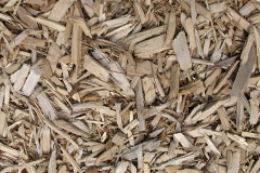 biomass boilers Chetnole